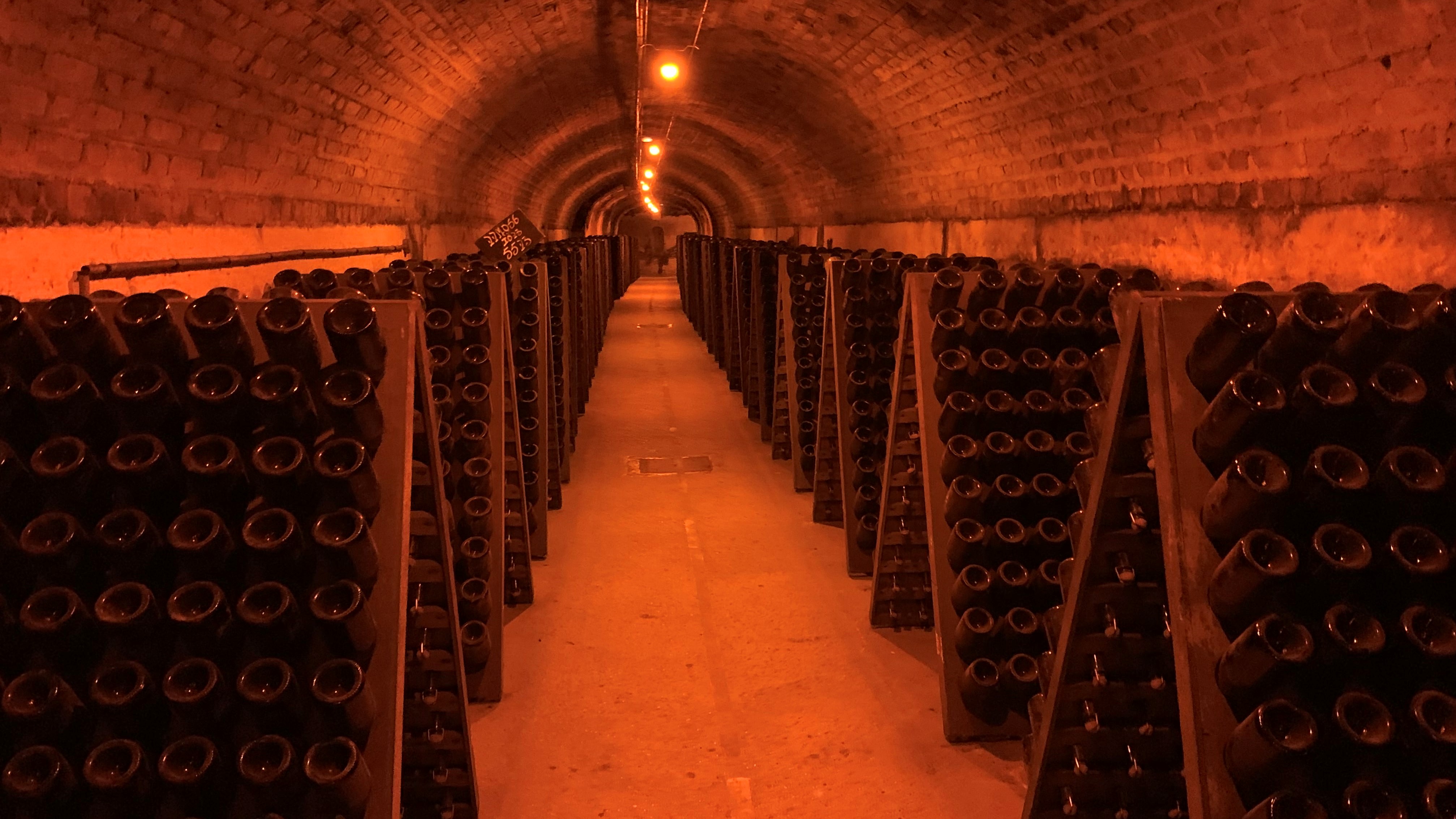 Champagne Underground - Senior Trip to Paris