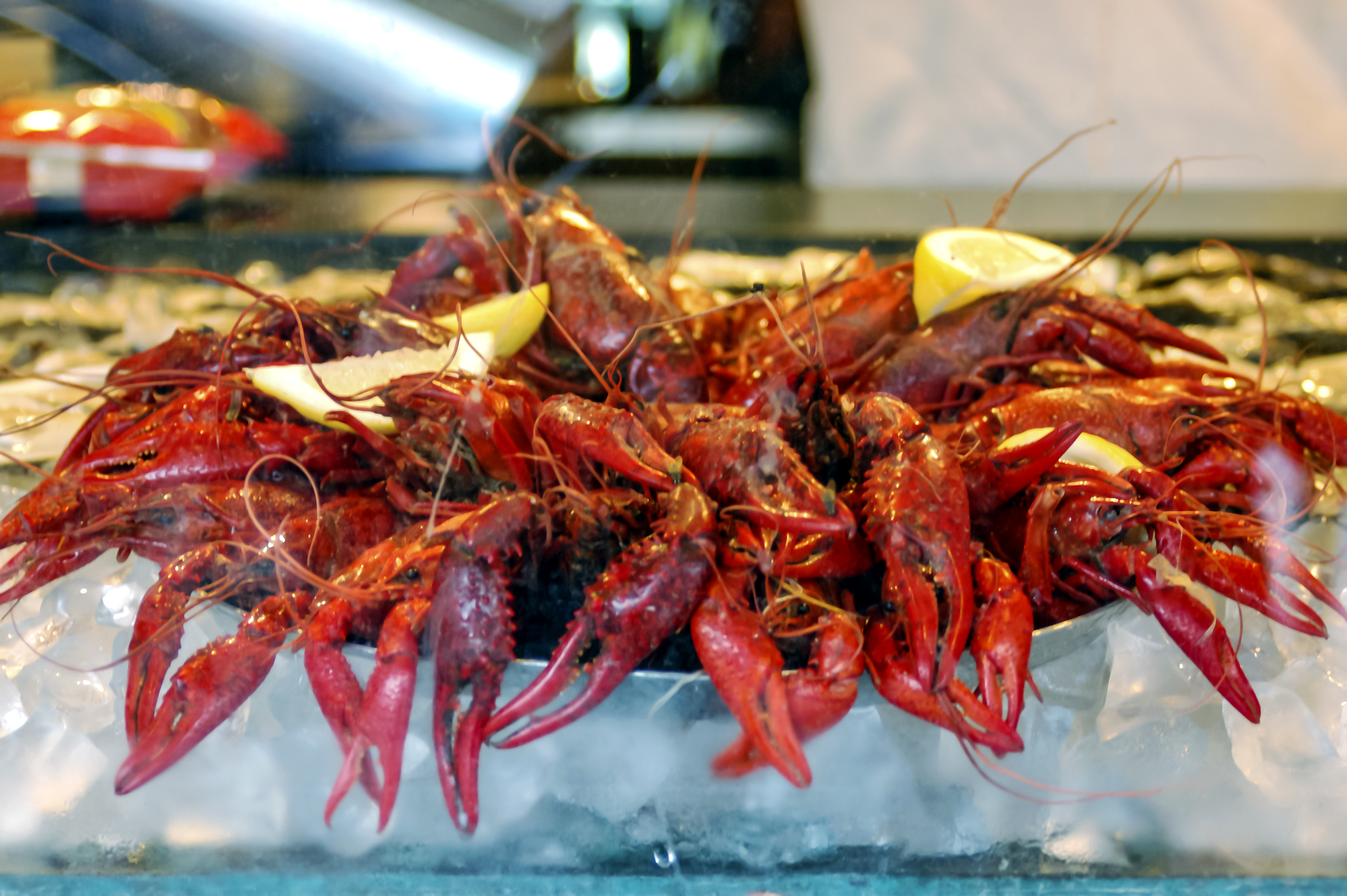 Crawfish - Senior Trip to New Orleans